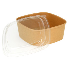 Plastic Lid rPET Crystal 17x17cm (50 Units)