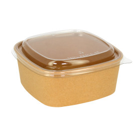 Plastic Lid rPET Crystal 17x17cm (50 Units)