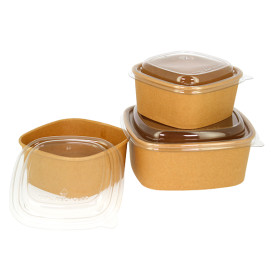 Plastic Lid rPET Crystal 17x17cm (50 Units)