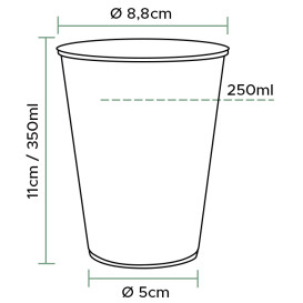 Plastic Cup PP Clear 350 ml (50 Units) 