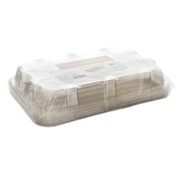 Sugar Cane Tray with Lid 46x30x11cm (5 Units) 