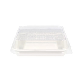 PLA Lid for Sugarcane Food Container 18,5x18,5cm (300 Units)