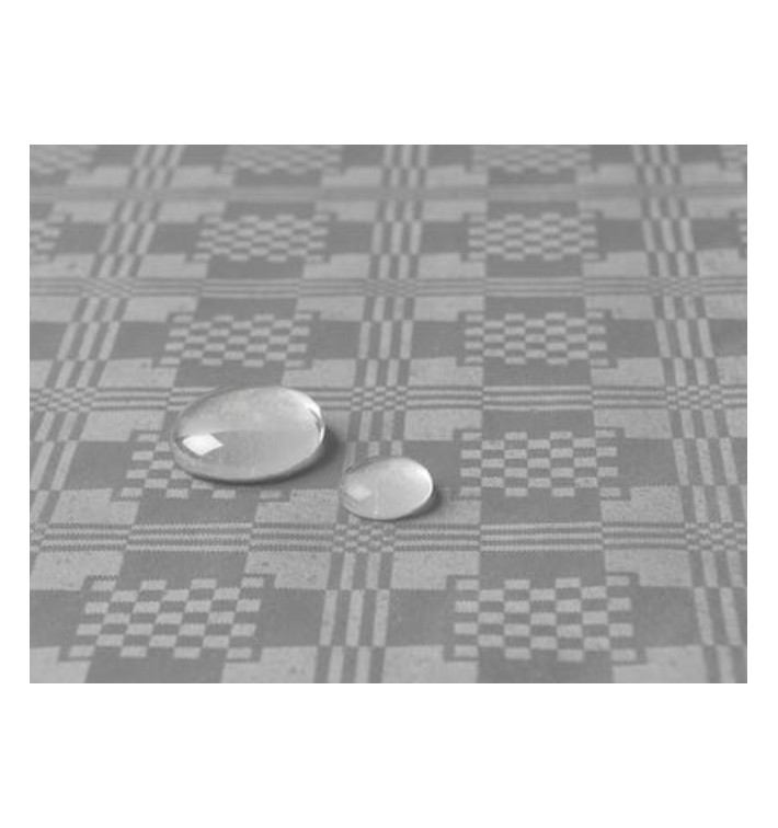 Tablecloth Roll Waterproof Silver 1,2x5m (10 Units) Tablecloth Roll Waterproof Silver 1,2x5m (10 Units)