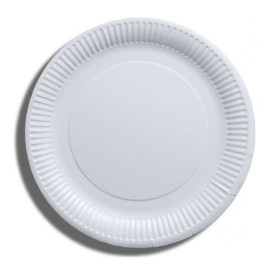 Paper Plate Biodegradable White 23 cm (1000 Units)