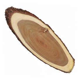 Wooden Serving Platter Oval shape 50,8x20,3x1,9cm (1 Unit)