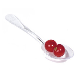 Tasting Teaspoon Clear in Box 10cm (100 Units) 