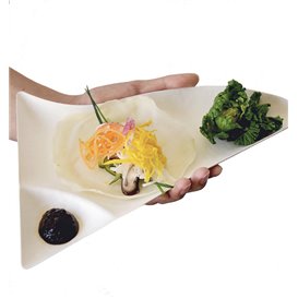 Sugarcane Tray Wasara Biodegradable Double Compartment (50 Units)