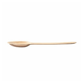 Palm Leaf Tasting Mini Spoon 17 cm (25 Units) 