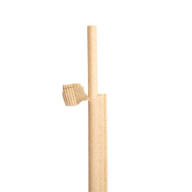 Paper Straw Straight Nature Wrapped With a Kraft Sleeve Ø0,6cm 21cm (250 Units)