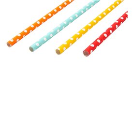 Paper Straw Straight Points Ø6mm 21cm (250 Units) 