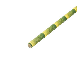 Paper Straw Straight bamboo Ø6mm 21cm (250 Units) 