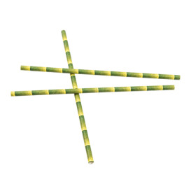 Paper Straw Straight bamboo Ø6mm 21cm (250 Units) 