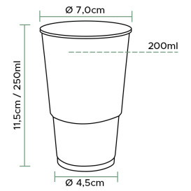 Plastic Cup PP Clear 250ml (100 Units)
