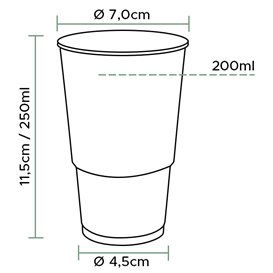 Plastic Cup PP Clear 250ml (3.000 Units)