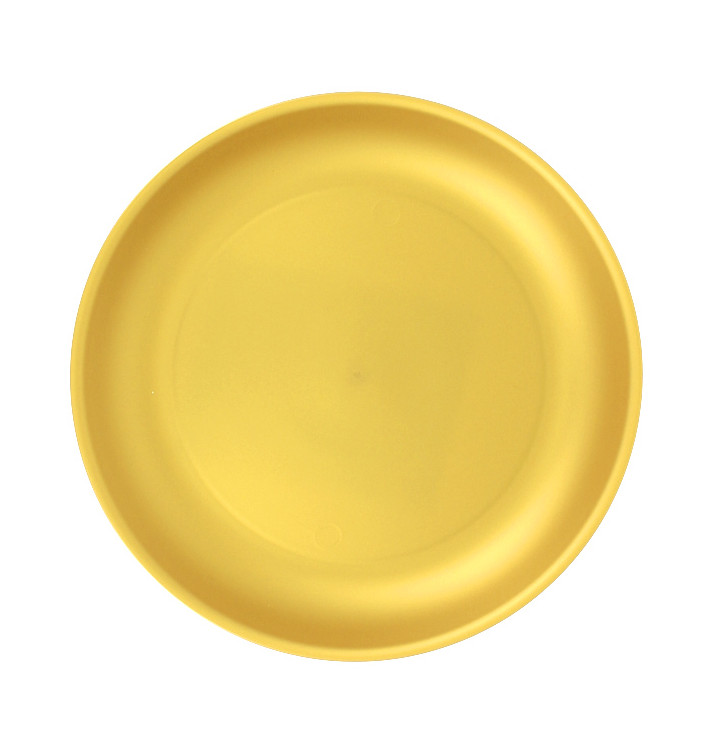 reusable plastic plates