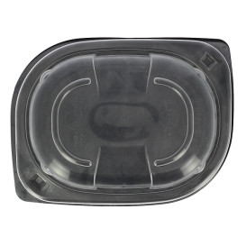 Plastic Lid Translucent Container PP 250/350 and 450ml 14,2x11,1x2cm (640 Units)