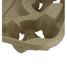 Paper Cup Carrier with 2 Holes and Food Tray (250 Units)