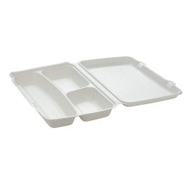 Sugarcane Panini Container 3C 38x48,3x6,15cm (100 Units) 