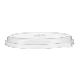 Plastic Lid RPET for Oval Sugarcane Tray Ecologic Clear 710 and 940 ml (300 Units)