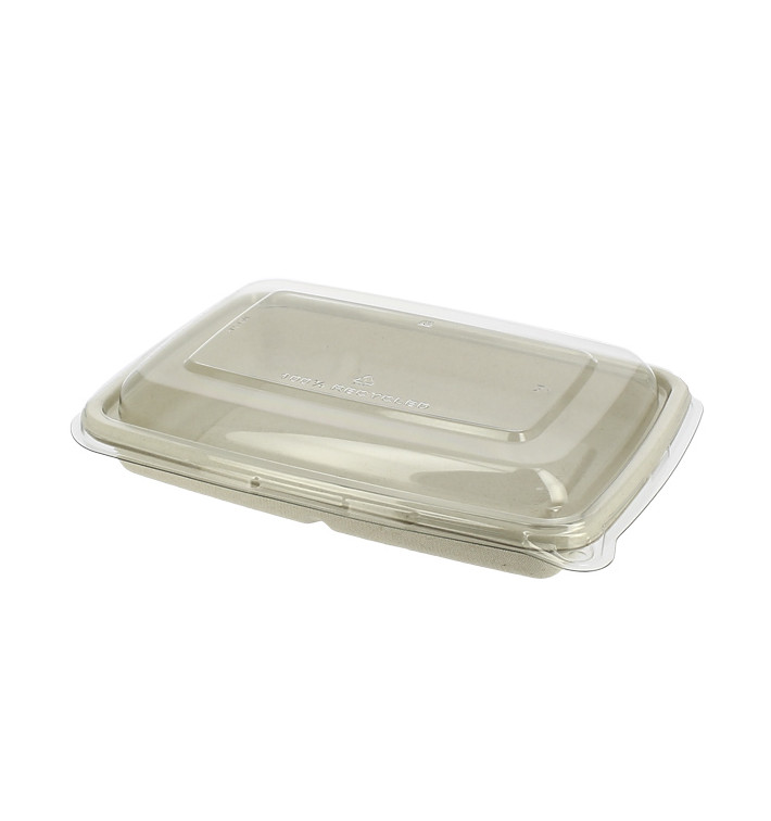 Sugarcane Container with Lid 600ml 23x16x5cm (15 Units) Sugarcane Container with Lid 600ml 23x16x5cm (15 Units)