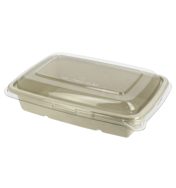 Sugarcane Container with Lid 950ml 23x16x6cm (15 Units) 