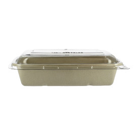 Sugarcane Container with Lid 950ml 23x16x6cm (15 Units) 