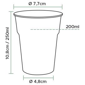 Plastic Pint Glass PP Clear 200 ml (1000 Units)