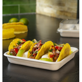 Sugarcane Taco Container White 18,5x18,5cm (300 Units)