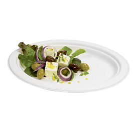 Sugarcane Tray White 26x19 cm (50 Units) 