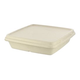 Sugarcane Lid for Container 23x23cm (300 Units)