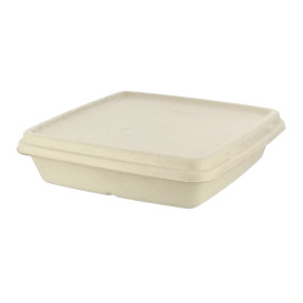 Sugarcane Lid for Container 23x23cm (300 Units)