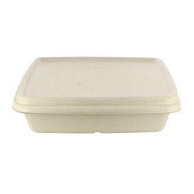 Sugarcane Lid for Container 23x23cm (300 Units)