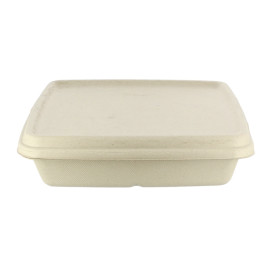 Sugarcane Lid for Container 23x23cm (300 Units)