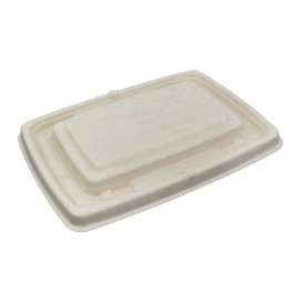 Sugarcane Lid for Container 23x16,5cm (300 Units)