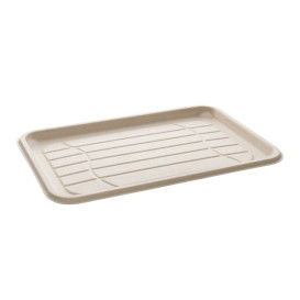 Sugarcane Tray 46x30cm (100 Units)
