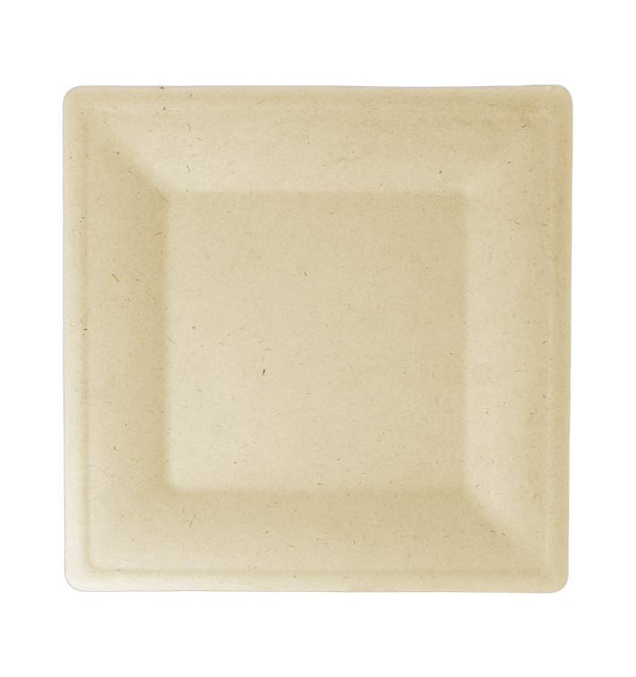 Sugarcane Plate Square shape Natural 26,2x26,2 cm (50 Units) Sugarcane Plate Square shape Natural 26,2x26,2 cm (50 Units)