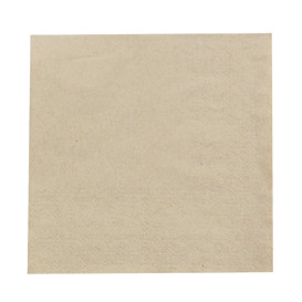 Paper Napkins Eco-Friendly 20x20cm 2C (100 Units) 