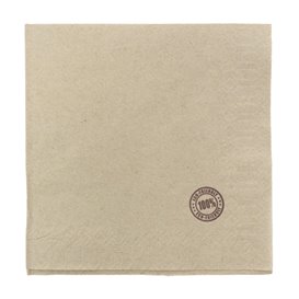 Paper Napkin Eco "Recycled" 33x33cm 1C (4800 Units)