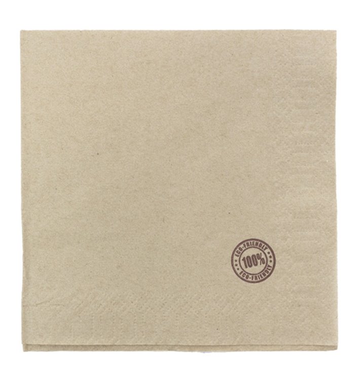 Paper Napkin Eco "Recycled" 33x33cm 1C (100 Units) Paper Napkin Eco "Recycled" 33x33cm 1C (100 Units)