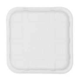 Sugar Cane Tray 14,1x14,1cm (600 Units)
