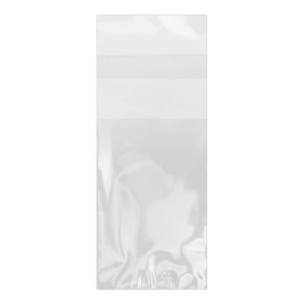 Plastic Bag with Adhesive Flap Cellophane 4x6cm G-160 (1000 Units)