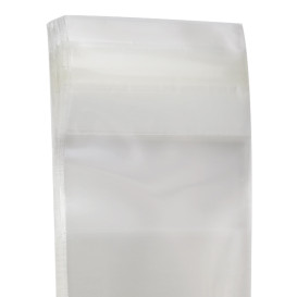 Plastic Bag with Adhesive Flap Cellophane 4x6cm G-160 (1000 Units)