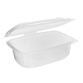 Plastic Container Microwave PP Transparente 800ml 18,5x13,5cm (50 Units) 