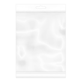 Plastic Bag Adhesive Flap Euroslot 27x36cm G-160 (100 Units)  