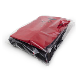 Plastic Bags Adhesive Flap CPP G160 25x35cm (100 Units)  