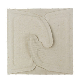 Package Sugarcane Box to Go 13x13x7cm 500ml. (300 Units)