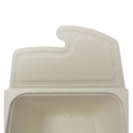 Package Sugarcane Box to Go 17x13x7cm 750ml. (200 Units)