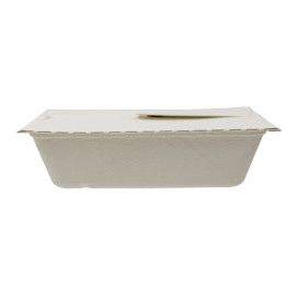 Package Sugarcane Box to Go 21x15x5cm 1000ml. (150 Units)