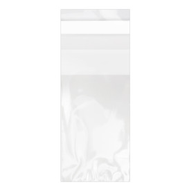 Plastic Bag with Adhesive Flap Cellophane 4x6cm G-160 (100 Units) 