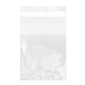Plastic Bag with Adhesive Flap Cellophane 5,5x5,5cm G-160 (100 Units)  